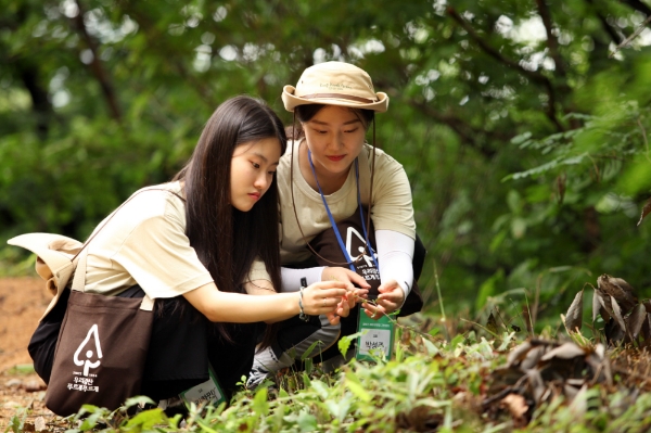 유한킴벌리 '우리 강산 푸르게' 그린캠프 실시