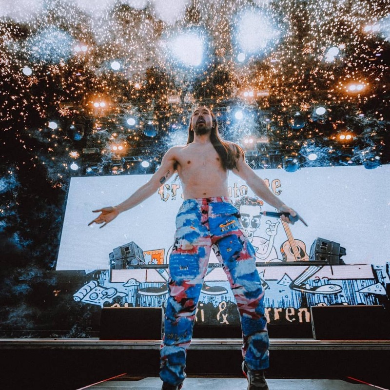 사진출처=스티브아오키SNS캡처