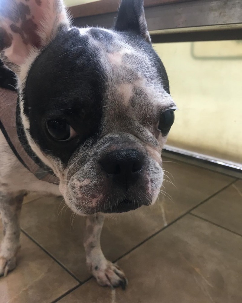 사진출처=김가은인스타그램