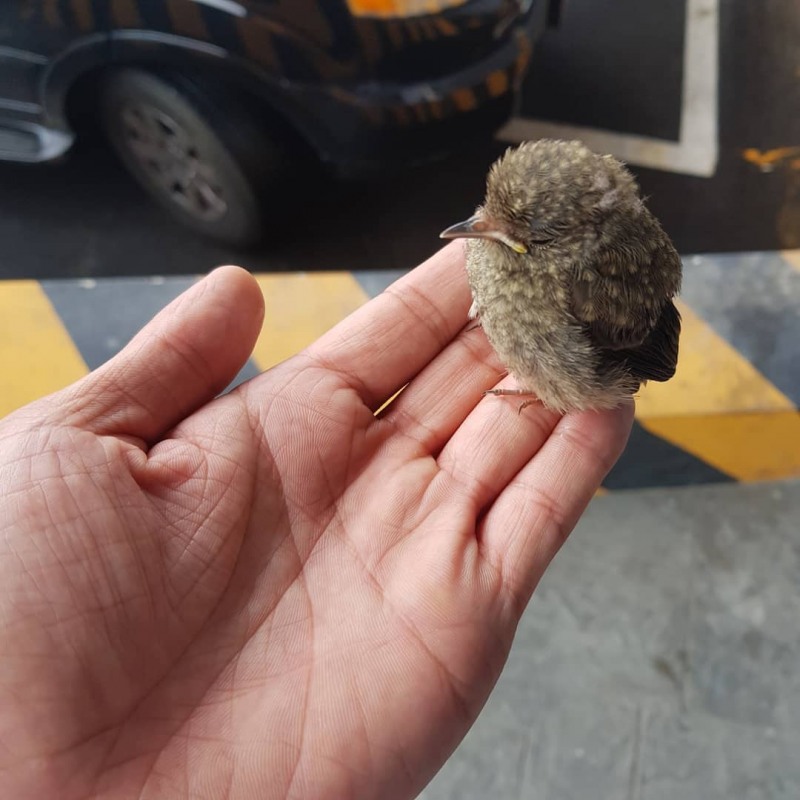 사진출처=곽시양SNS캡처