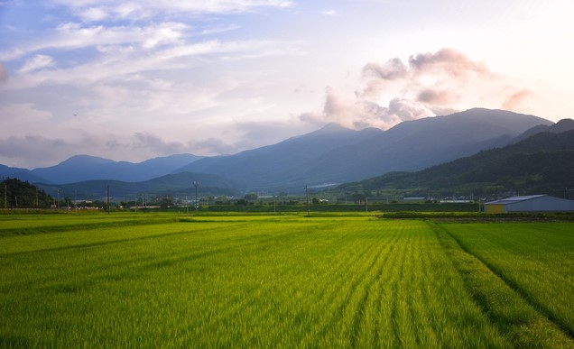 전남 보성, 제암산자연휴양림 더늠길