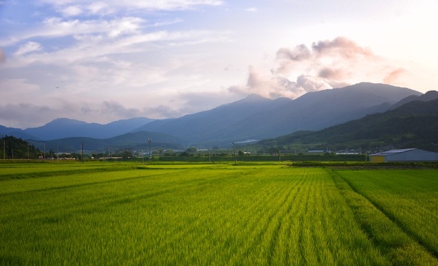 전남 보성, 제암산자연휴양림 더늠길 