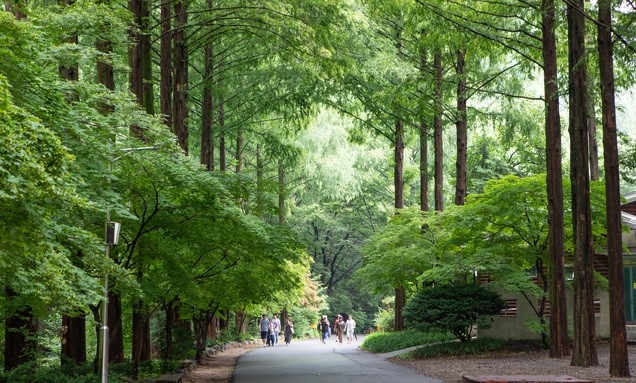 대전, 장태산자연휴양림 산책로