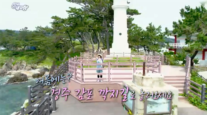 KBS1tv6시내고향방송캡처