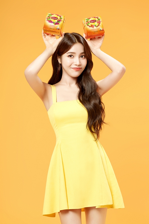 사진 제공 = 립톤