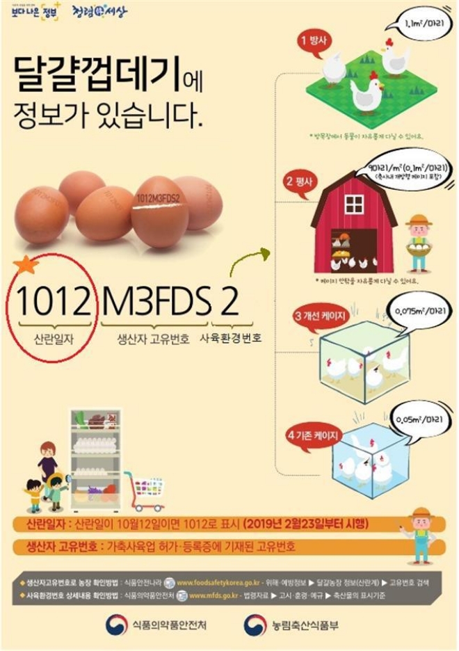 23부터 달걀 껍데기 꼭 확인하고 사가세요