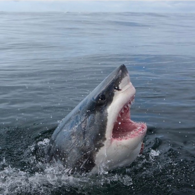 사진출처=제뉴어리존스인스타그램