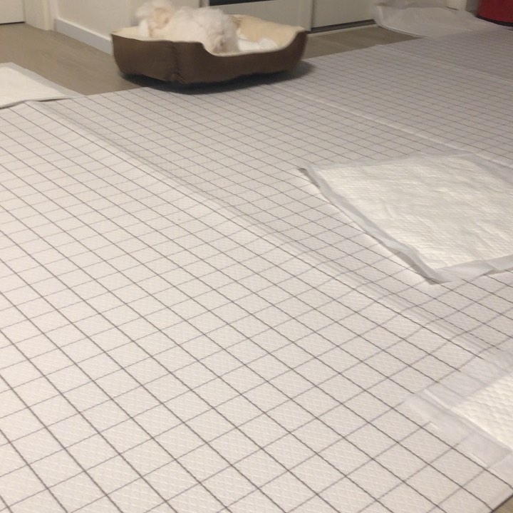 사진출처=나윤권인스타그램