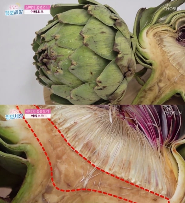 ‘아티초크’가 이날 하루 대중들의 큰 관심을 불러모은다 / 출처 에스엔에스
