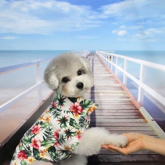 사진=유라인스타그램