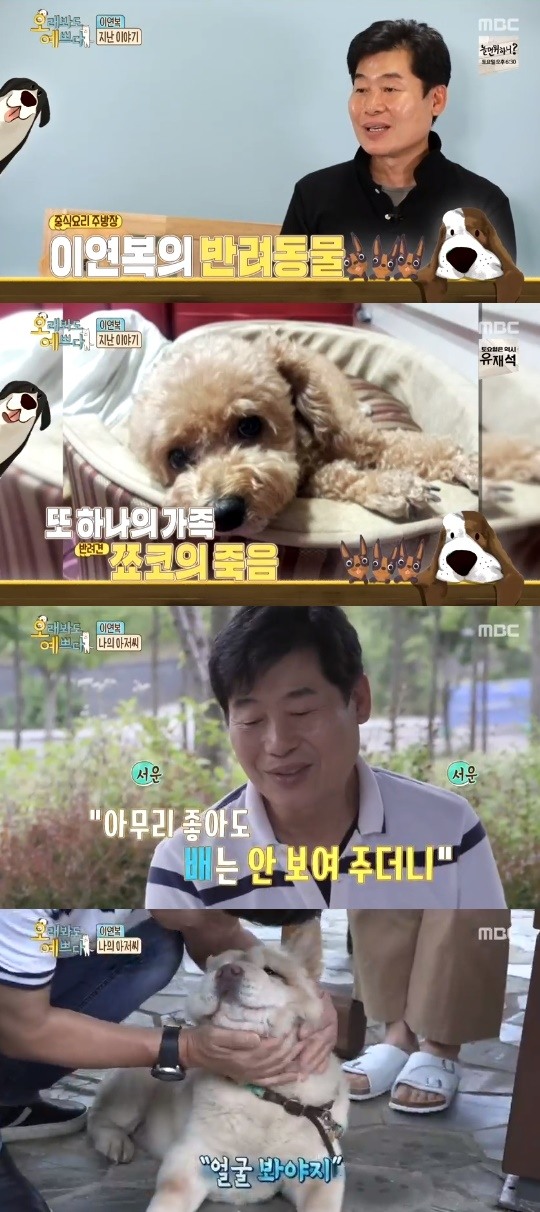 MBC=오래봐도예쁘다캡처