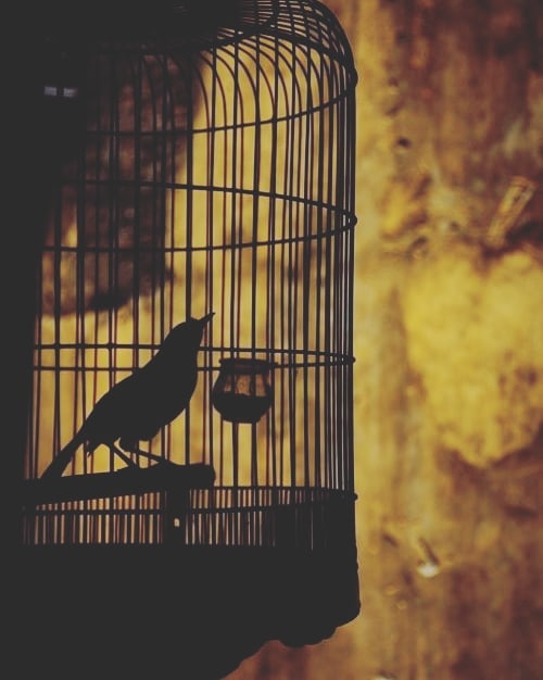 사진출처=송재림SNS캡처