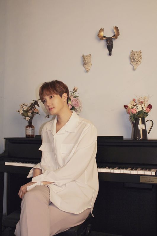 사진루미웰코리아제공