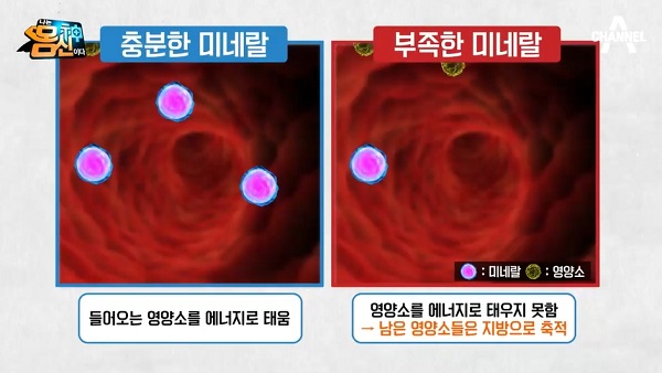 사진=채널A캡처