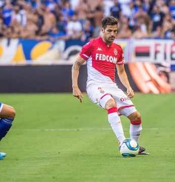 파브레가스트위터