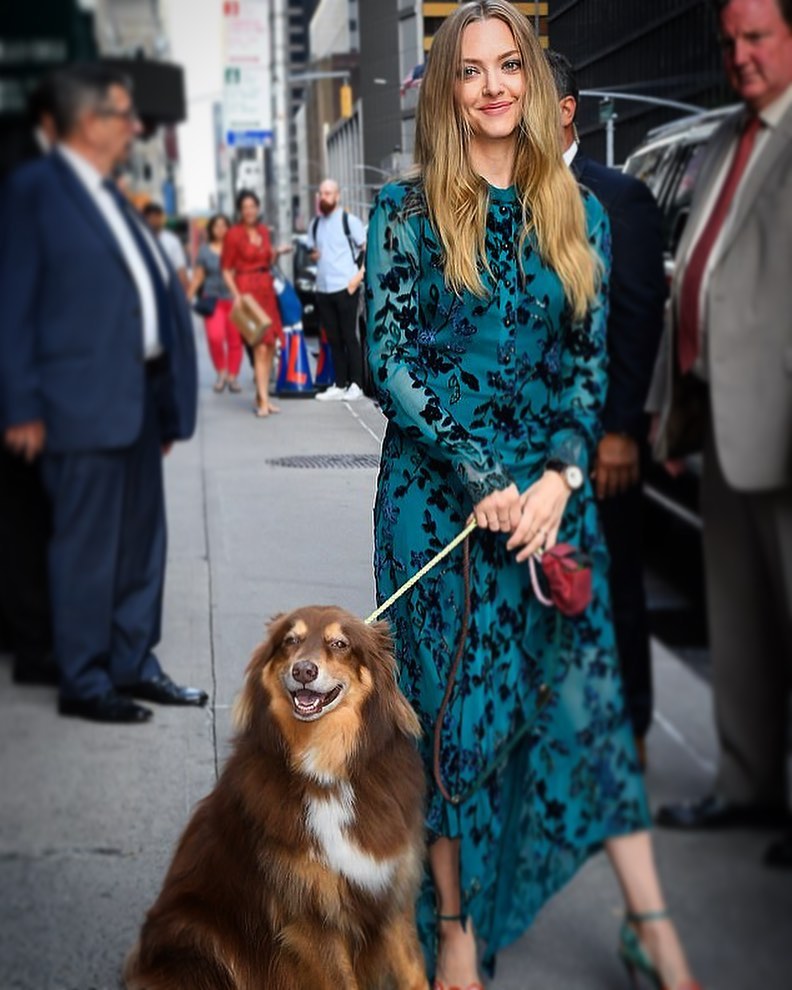 아만다사이프리드출처=인스타그램