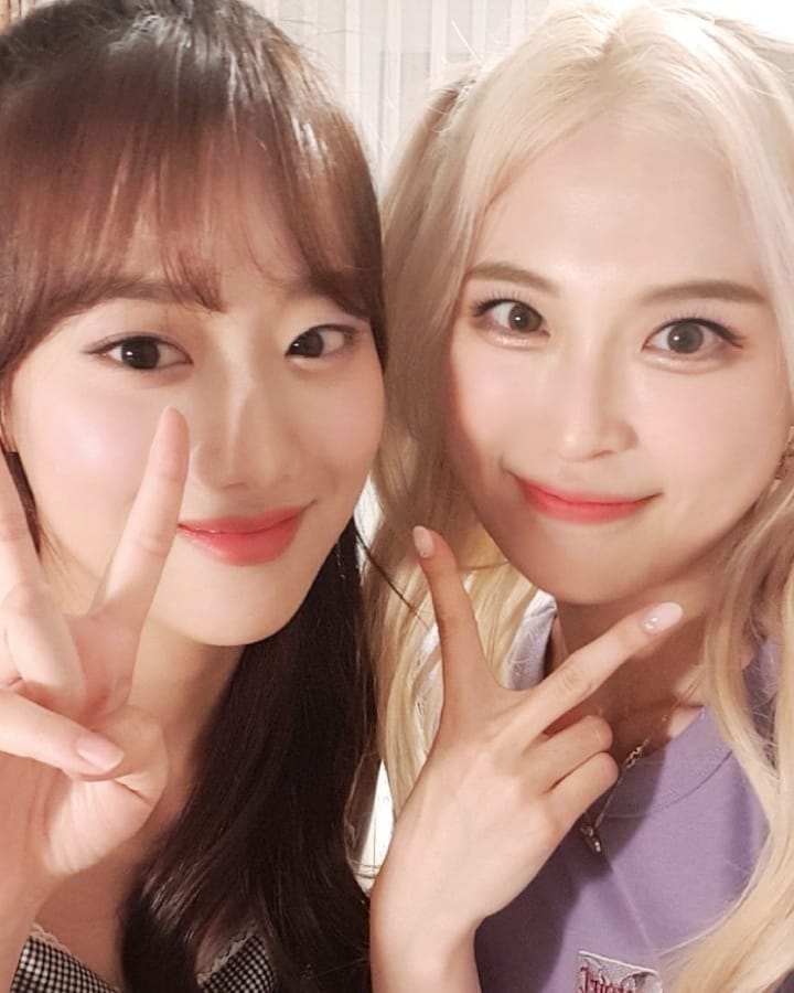 사진출처=양팡SNS