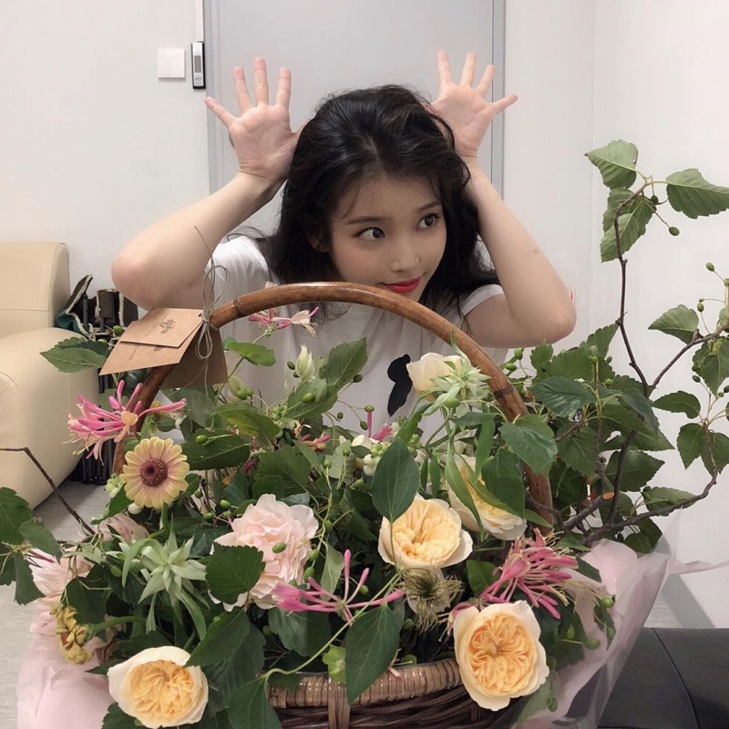 사진=아이유인스타그램캡처