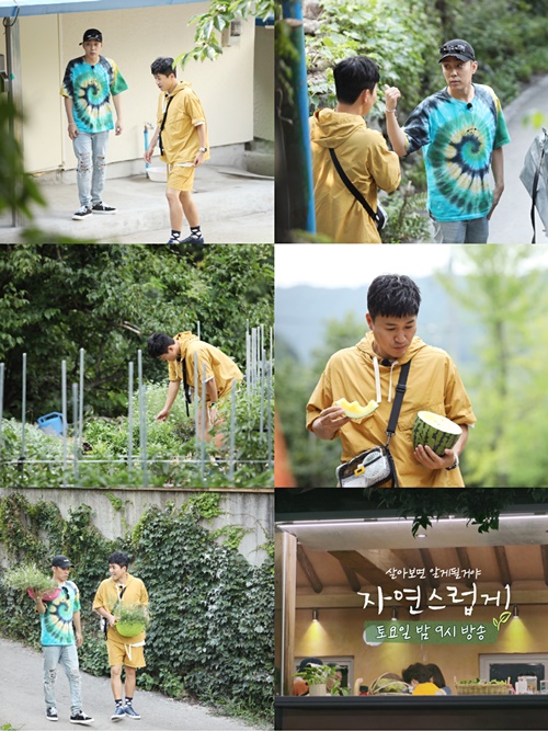 사진=MBN자연스럽게