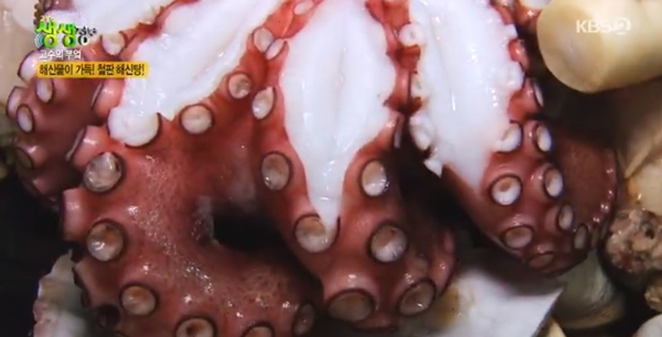 출처 케이비에스화면