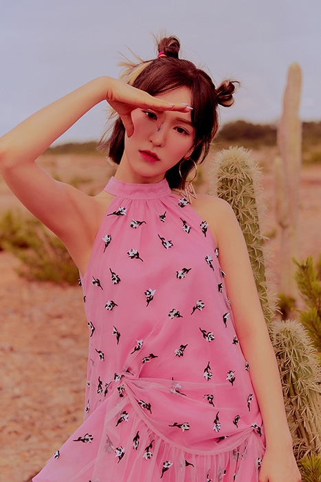 레드벨벳, 생기발랄 웬디 티저 이미지 공개 ‘시선 집중’