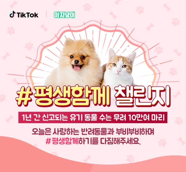 삼성카드, 틱톡과 함께 '평생함께 챌린지' 캠페인…"동물보호 문화 정착"