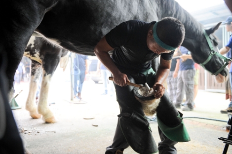장제사가 말의 신발이라 할 수 있는 '편자'를 만들고 있는 모습. / 사진 출처 = 한국마사회