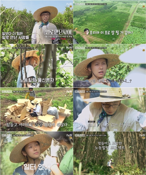 사진=tvN일로만난사이