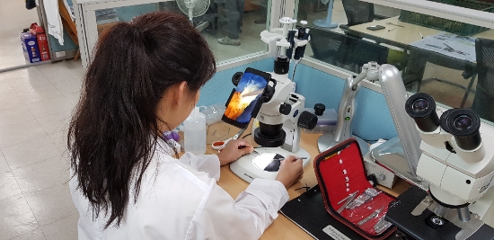 함평군 농업기술센터는 ‘딸기 꽃눈분화 현미경 검사 서비스’를 운영한다./사진=함평군