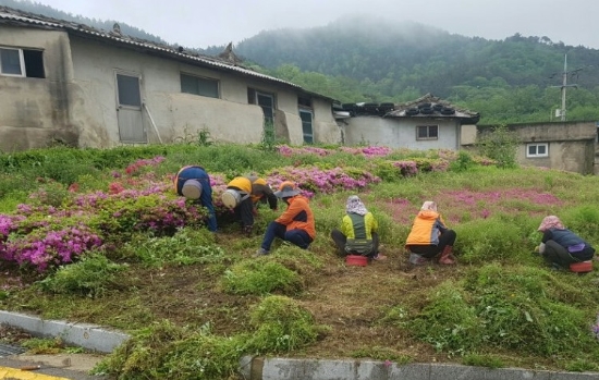 사진=영광군