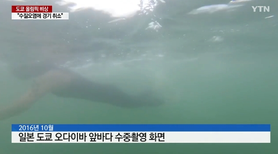 사진=YTN캡처화면