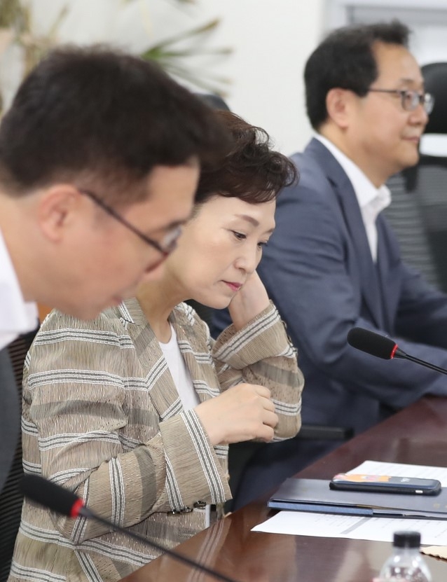 분양가상한제 후폭풍, 일부 현금부자들만 수혜를 입는 등 부작용 우려