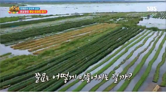 SBS예능정글의법칙방송캡처