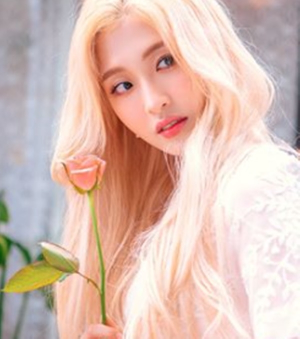 양팡, 세상혼자 사는 비주얼, 넋놓고보게 되네...'근황 핫이슈' 팬 행보 실화?