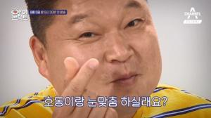 사진=채널A아이콘택트