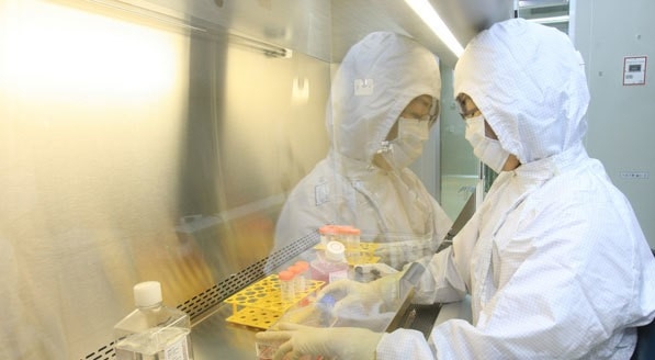 메디포스트 기관지폐이형성증 치료제 미국 FDA 패스트 트랙 지정
