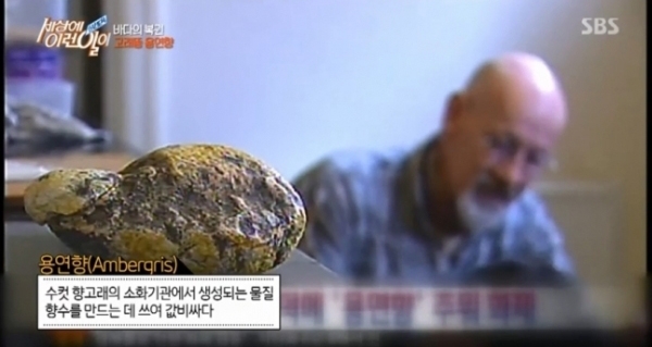 출처 에스비에스화면