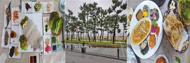 양양 맛집, 천혜의 강원도 양양 서퍼비치에서 서핑과 휴식을 ‘백양횟집’