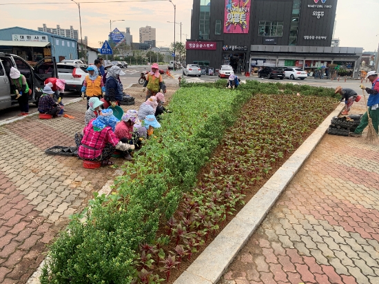 사진=영광군