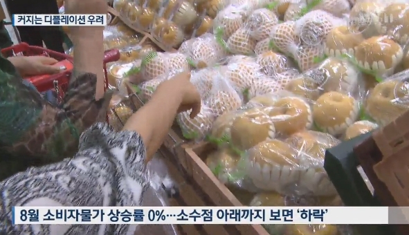 ‘디플레이션’ 단어가 정치권에서 나옴에 따라 관심이 모아진다 / 출처 케이비에스화면