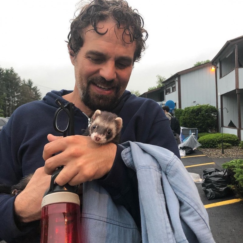 마크러팔로출처=인스타그램