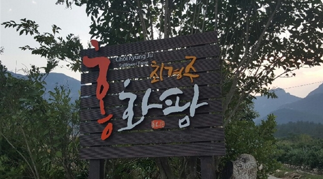 심혈관질환부터 치매예방까지 풍요로운 한가위 홍화를 만나다 ‘해남 최경주 홍화팜’