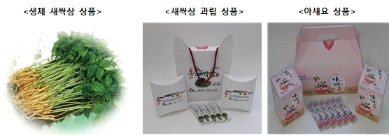 인삼의 향과 맛, 면역력 증진, 영양을 한번에 희망이네농원 ‘새싹삼’