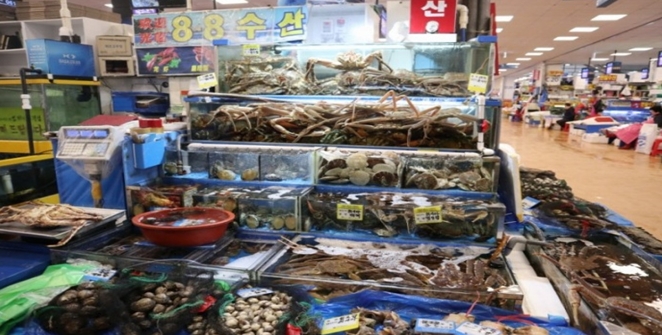 노량진수산시장 맛집, ‘88수산’ 가을철 건강 특별한 별미를 만나다