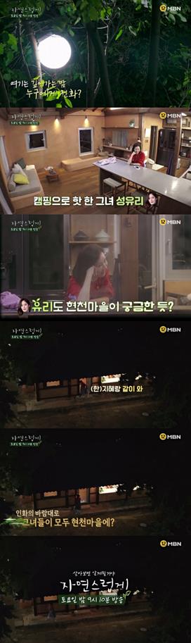 MBN제공