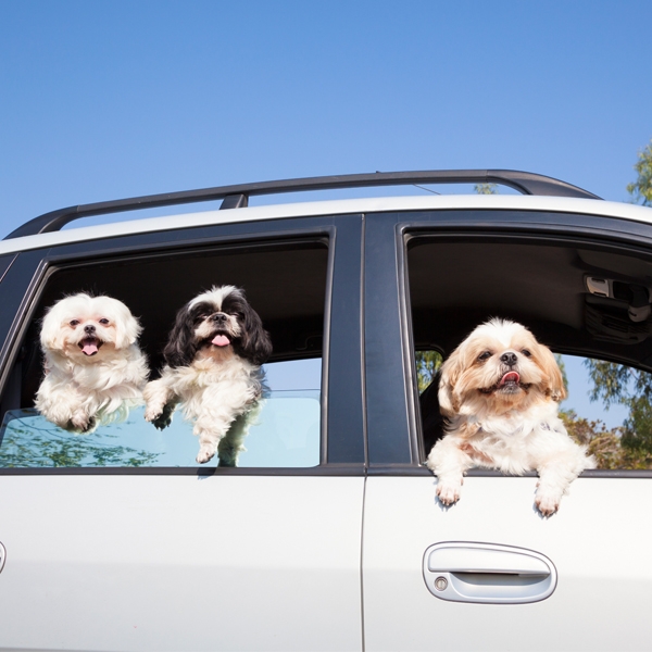 이미지 출처 : 클립아트코리아