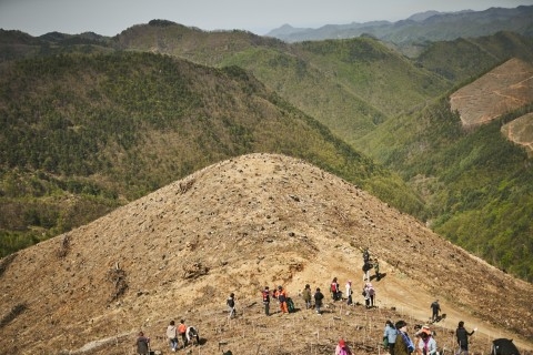 동방신기 최강창민, 강원 산불피해복구 숲 조성 후원 앞장
