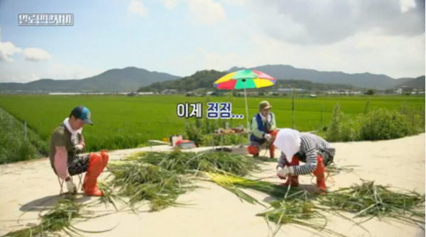 사진=tvN