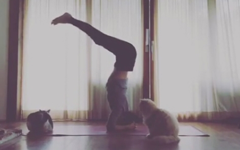 출처 에스엔에스