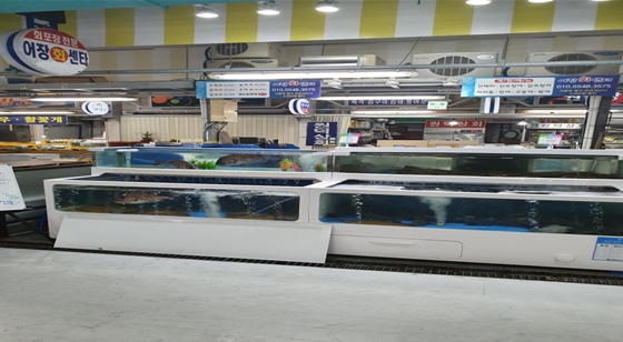 당진 맛집, 가을철 환절기 보약 특별한 맛을 만나다 ‘어장회센타’